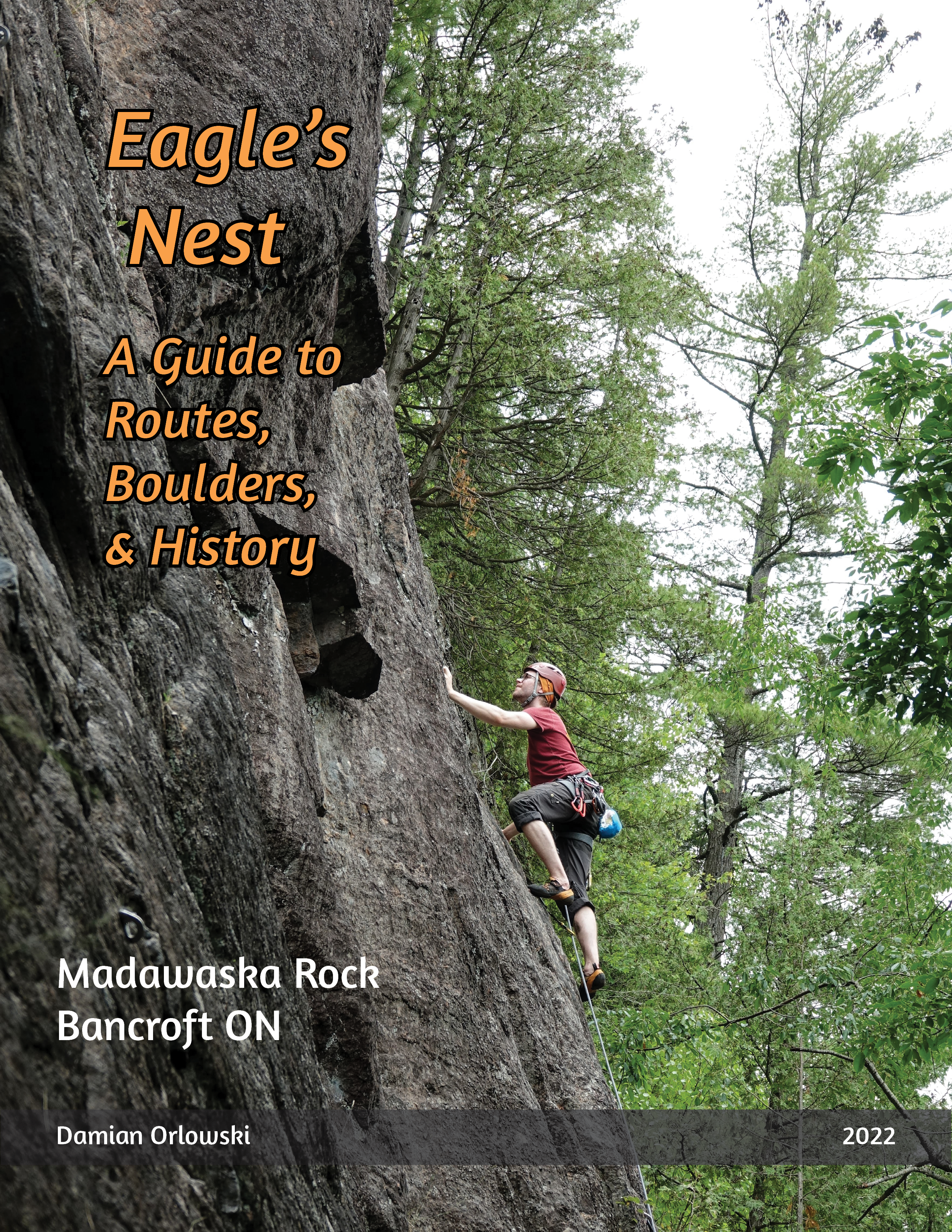 Cover for Eagle's Nest