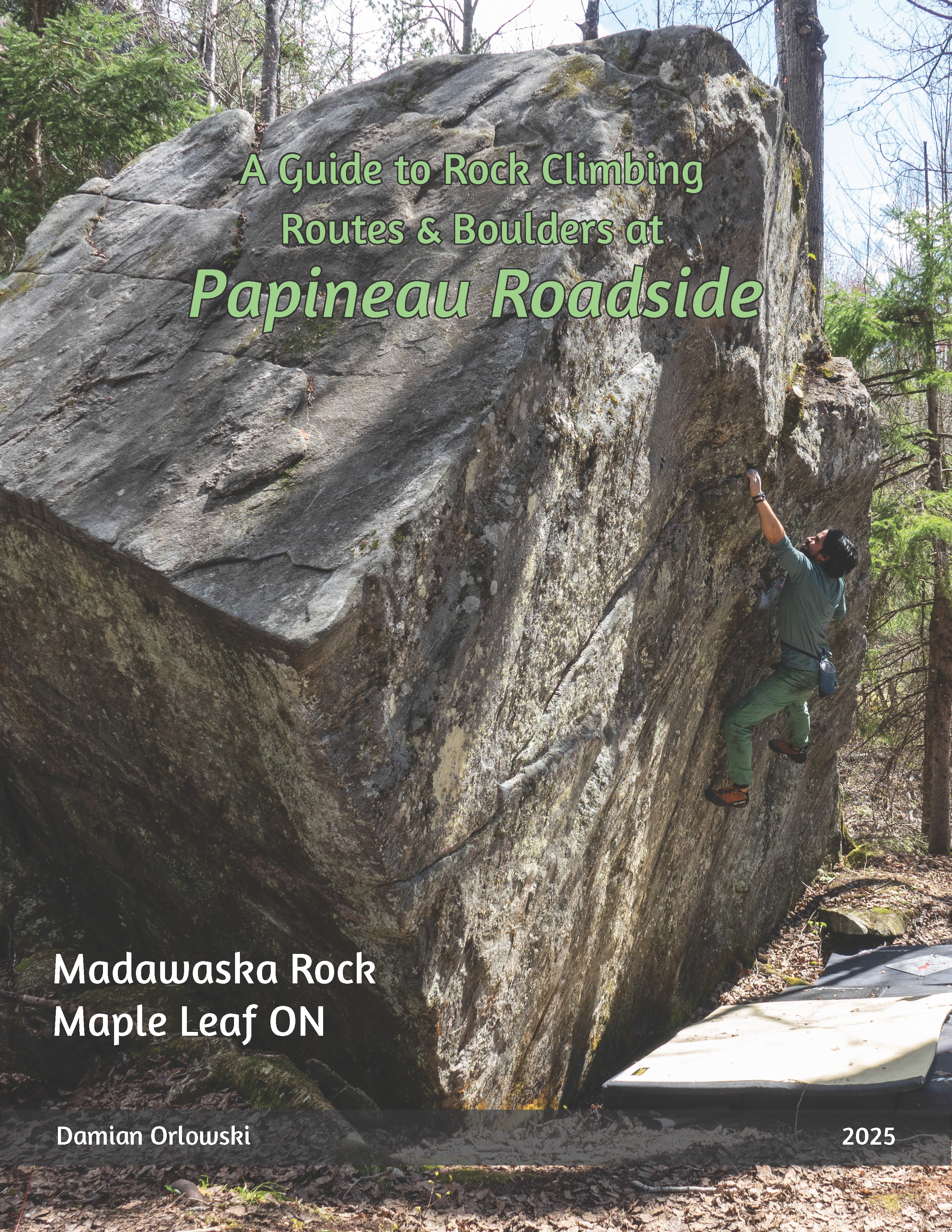 Cover for Papineau Roadside